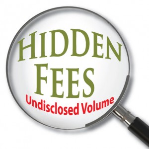 Three Hidden Fees to Look for When Choosing a Web Hosting Plan