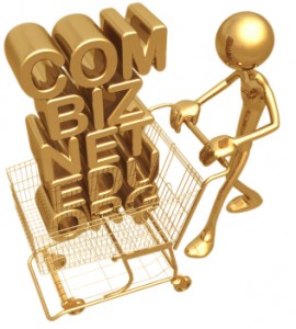 Becoming a Domain Speculator with No Experience