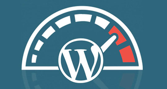 Lets Optimize Your WordPress Website